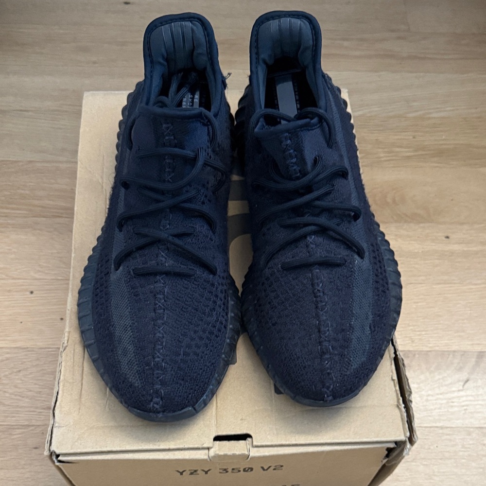 Yeezy 350 V2 Onyx